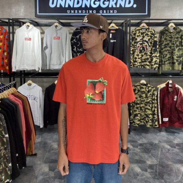 BRANDNEW STUSSY Strawberry Tee (Medium)