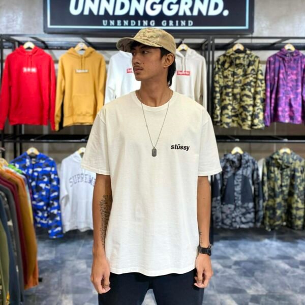 BRANDNEW STUSSY Popsicle White Tee (Large) - SOLD