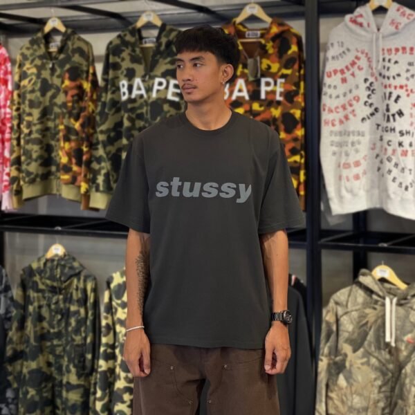 BRANDNEW STUSSY Shark Pigment Dyed Relaxed Fit Faded Black Tee (Large)