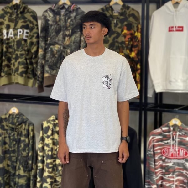 BRANDNEW STUSSY Dice Ash Gray Tee (Large)