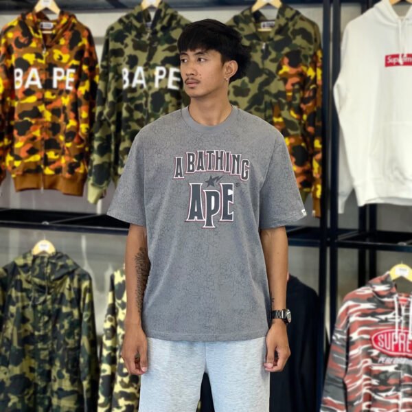 BRANDNEW BAPE Crack Print Pattern Logo Relaxed Fit Gray Tee (Medium) - SOLD